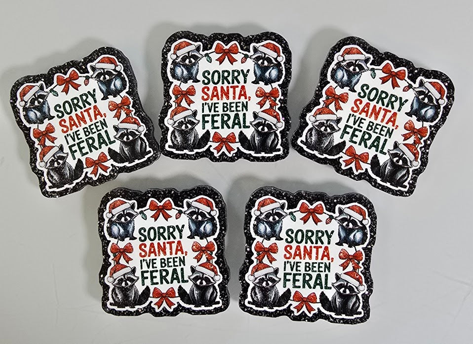 Acrylic Magnets - Sorry Santa