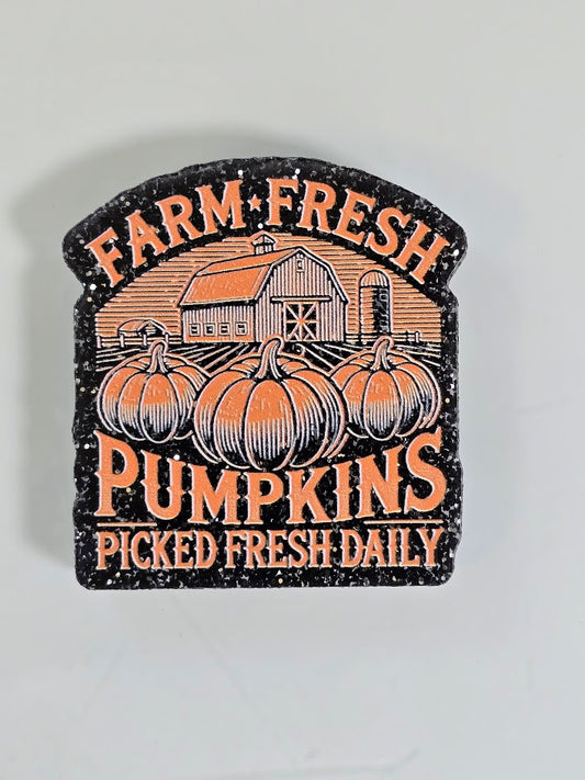 Acrylic Magnets - Farm Fresh Pumpkins