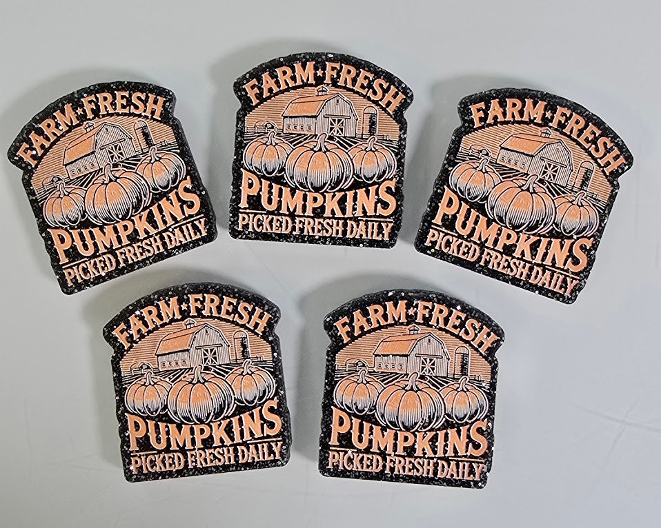 Acrylic Magnets - Farm Fresh Pumpkins